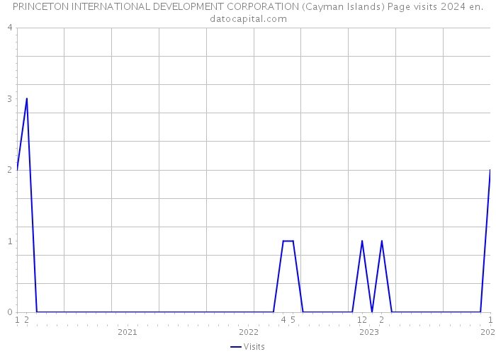 PRINCETON INTERNATIONAL DEVELOPMENT CORPORATION (Cayman Islands) Page visits 2024 