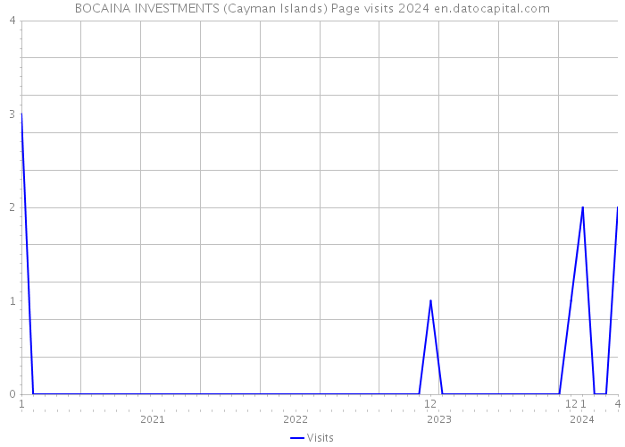 BOCAINA INVESTMENTS (Cayman Islands) Page visits 2024 