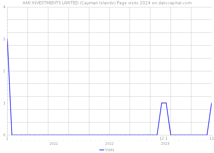 AMI INVESTMENTS LIMITED (Cayman Islands) Page visits 2024 