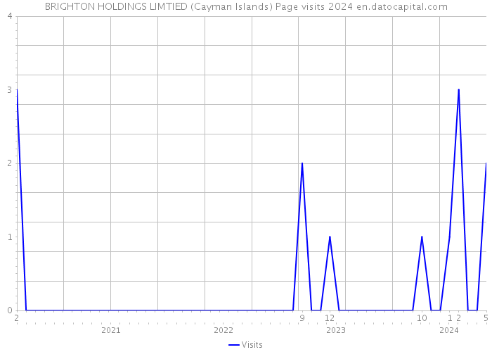 BRIGHTON HOLDINGS LIMTIED (Cayman Islands) Page visits 2024 