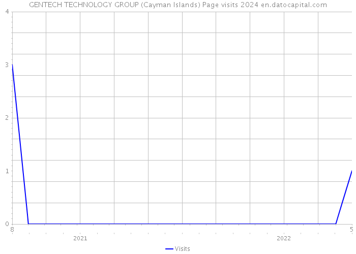 GENTECH TECHNOLOGY GROUP (Cayman Islands) Page visits 2024 