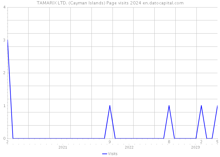 TAMARIX LTD. (Cayman Islands) Page visits 2024 