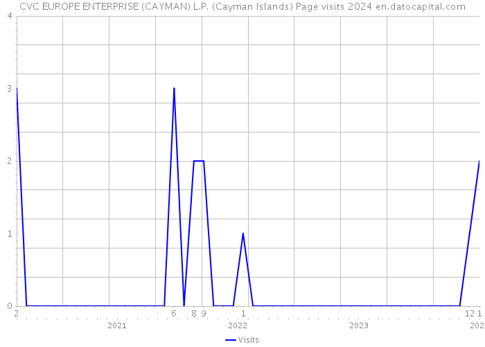 CVC EUROPE ENTERPRISE (CAYMAN) L.P. (Cayman Islands) Page visits 2024 