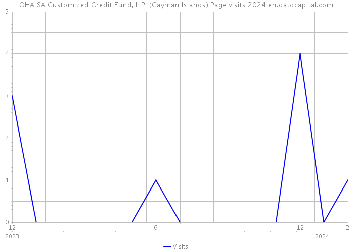 OHA SA Customized Credit Fund, L.P. (Cayman Islands) Page visits 2024 
