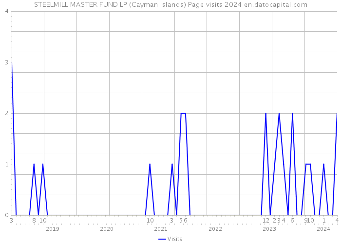 STEELMILL MASTER FUND LP (Cayman Islands) Page visits 2024 
