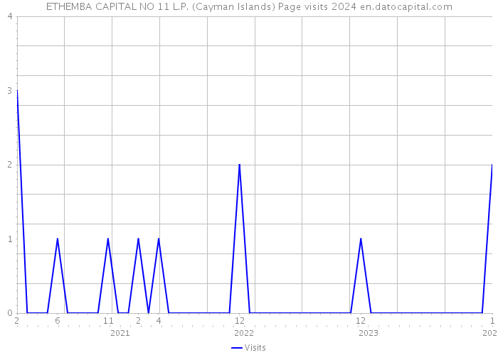 ETHEMBA CAPITAL NO 11 L.P. (Cayman Islands) Page visits 2024 