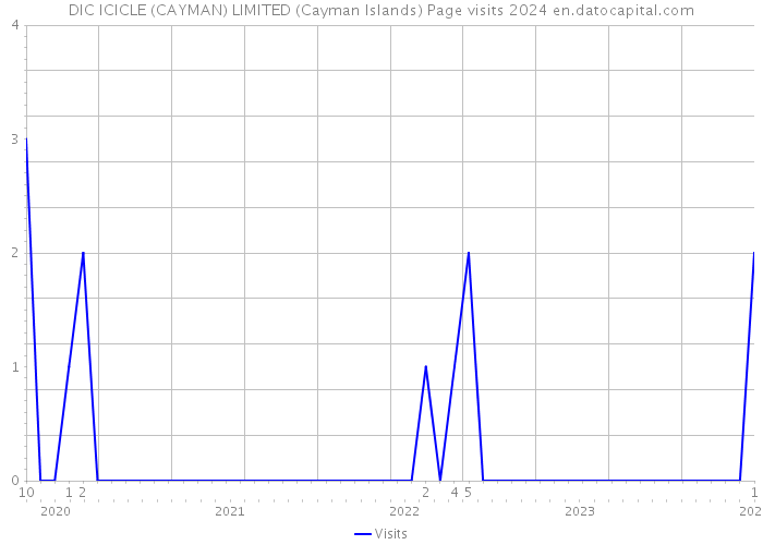 DIC ICICLE (CAYMAN) LIMITED (Cayman Islands) Page visits 2024 