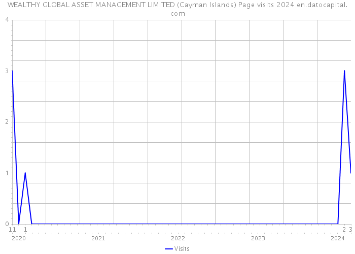 WEALTHY GLOBAL ASSET MANAGEMENT LIMITED (Cayman Islands) Page visits 2024 