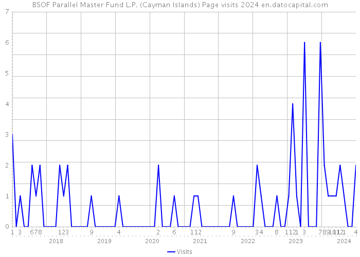 BSOF Parallel Master Fund L.P. (Cayman Islands) Page visits 2024 
