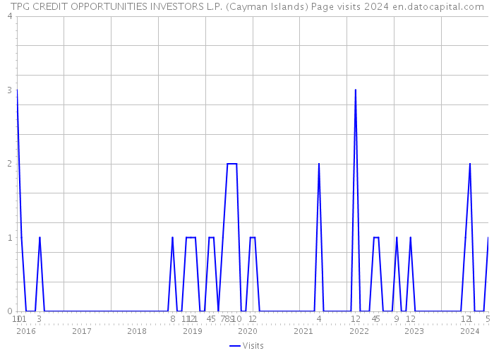 TPG CREDIT OPPORTUNITIES INVESTORS L.P. (Cayman Islands) Page visits 2024 