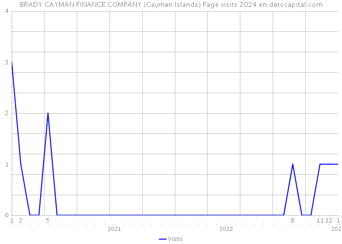 BRADY CAYMAN FINANCE COMPANY (Cayman Islands) Page visits 2024 