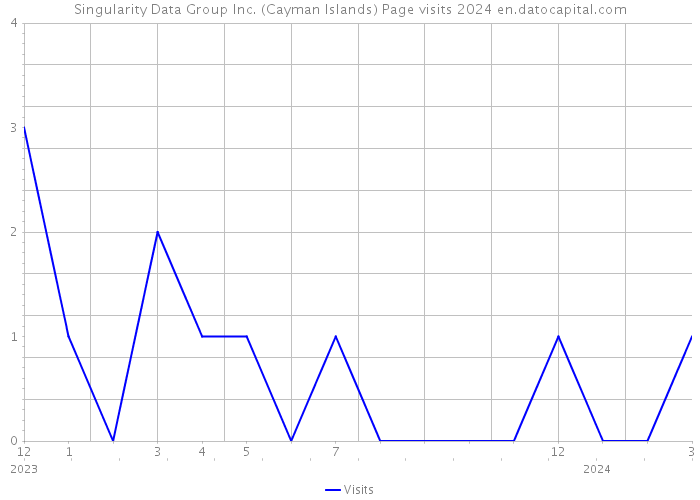 Singularity Data Group Inc. (Cayman Islands) Page visits 2024 