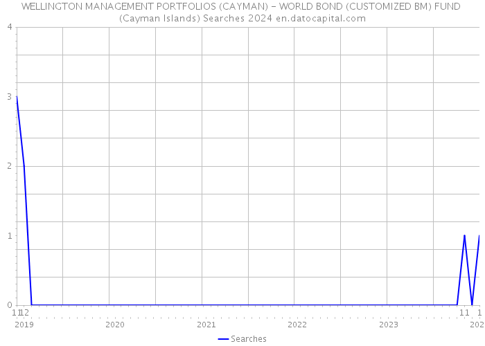 WELLINGTON MANAGEMENT PORTFOLIOS (CAYMAN) - WORLD BOND (CUSTOMIZED BM) FUND (Cayman Islands) Searches 2024 