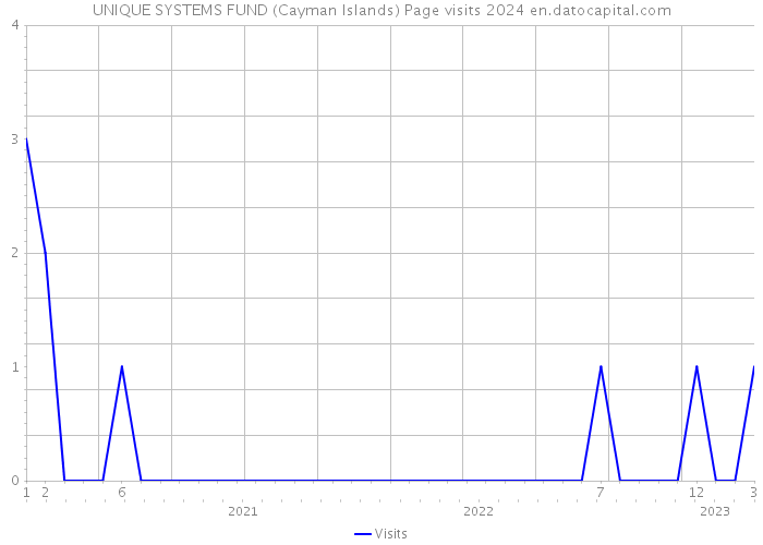 UNIQUE SYSTEMS FUND (Cayman Islands) Page visits 2024 
