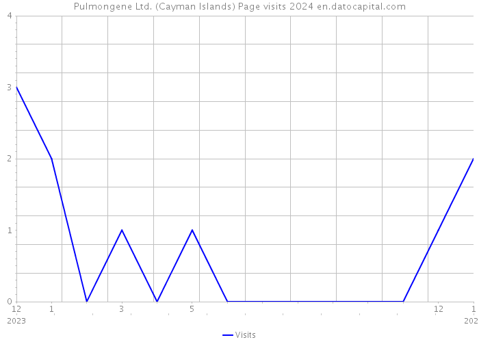 Pulmongene Ltd. (Cayman Islands) Page visits 2024 