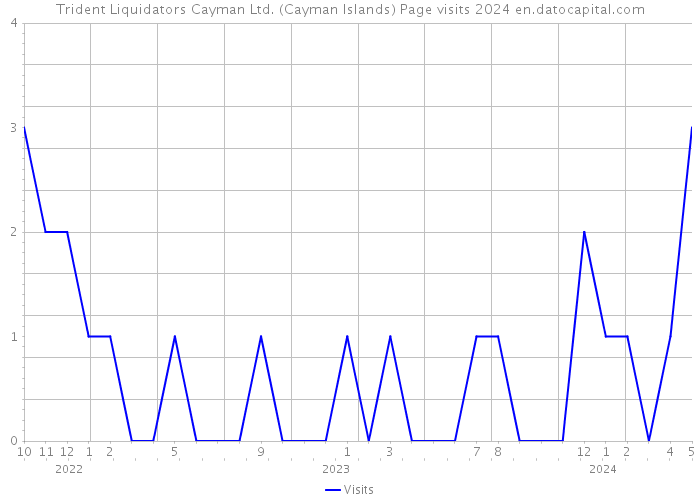 Trident Liquidators Cayman Ltd. (Cayman Islands) Page visits 2024 