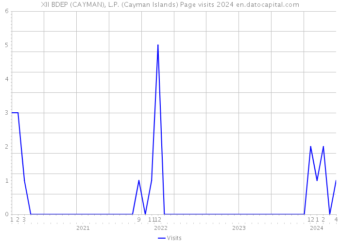 XII BDEP (CAYMAN), L.P. (Cayman Islands) Page visits 2024 