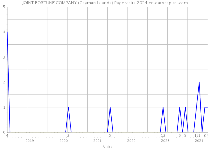 JOINT FORTUNE COMPANY (Cayman Islands) Page visits 2024 
