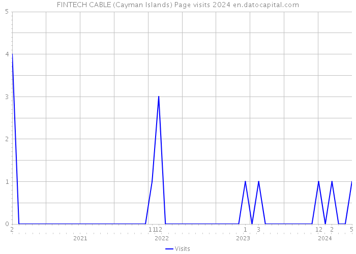 FINTECH CABLE (Cayman Islands) Page visits 2024 