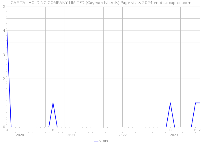 CAPITAL HOLDING COMPANY LIMITED (Cayman Islands) Page visits 2024 
