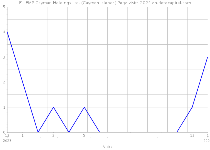 ELLEMP Cayman Holdings Ltd. (Cayman Islands) Page visits 2024 