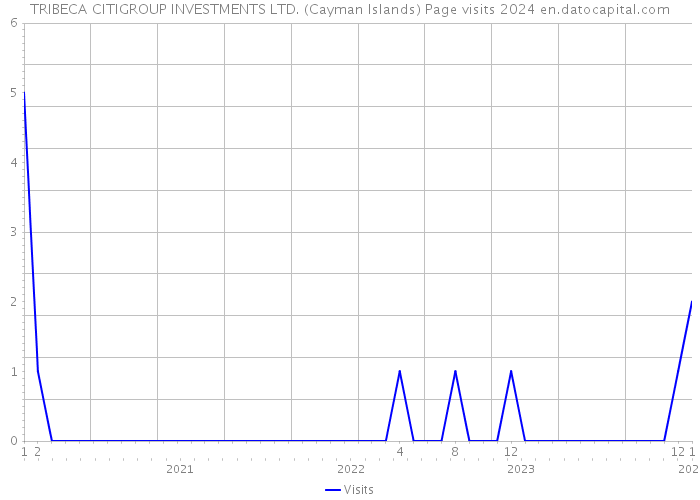 TRIBECA CITIGROUP INVESTMENTS LTD. (Cayman Islands) Page visits 2024 