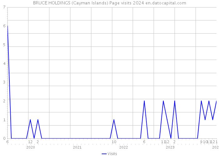 BRUCE HOLDINGS (Cayman Islands) Page visits 2024 