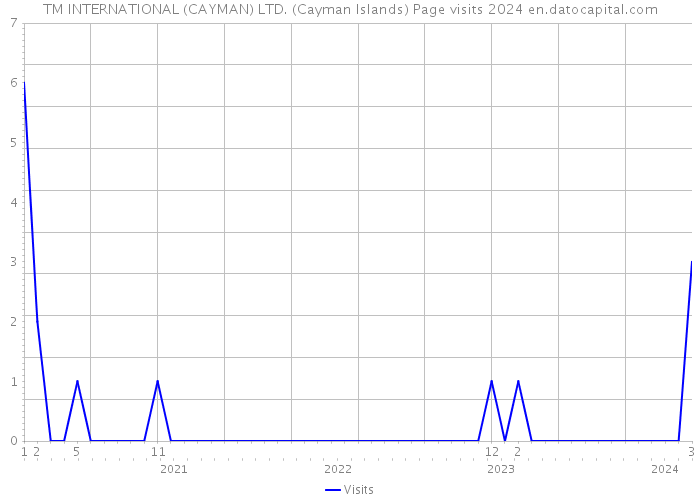 TM INTERNATIONAL (CAYMAN) LTD. (Cayman Islands) Page visits 2024 