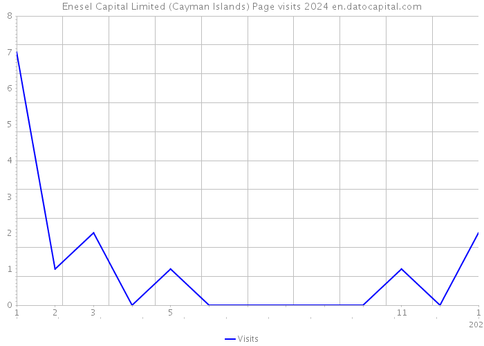 Enesel Capital Limited (Cayman Islands) Page visits 2024 