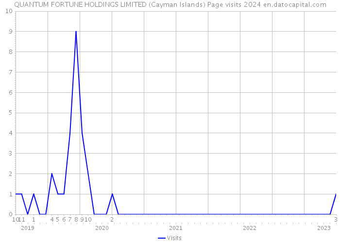 QUANTUM FORTUNE HOLDINGS LIMITED (Cayman Islands) Page visits 2024 