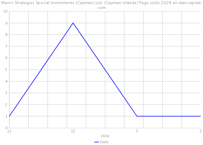 Macro Strategies Special Investments (Cayman) Ltd. (Cayman Islands) Page visits 2024 