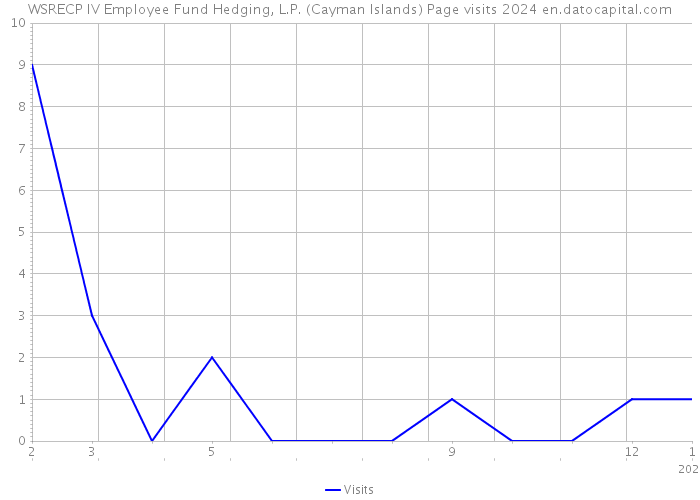 WSRECP IV Employee Fund Hedging, L.P. (Cayman Islands) Page visits 2024 