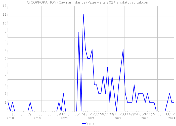 Q CORPORATION (Cayman Islands) Page visits 2024 