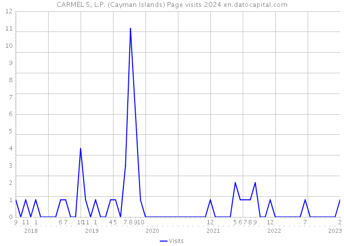 CARMEL 5, L.P. (Cayman Islands) Page visits 2024 