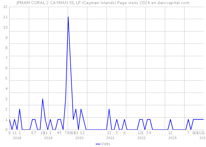 JPMAM CORAL 2 CAYMAN SS, LP (Cayman Islands) Page visits 2024 