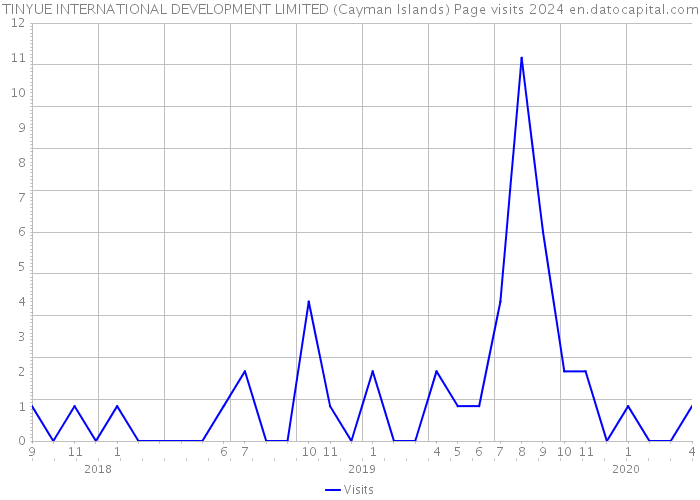 TINYUE INTERNATIONAL DEVELOPMENT LIMITED (Cayman Islands) Page visits 2024 