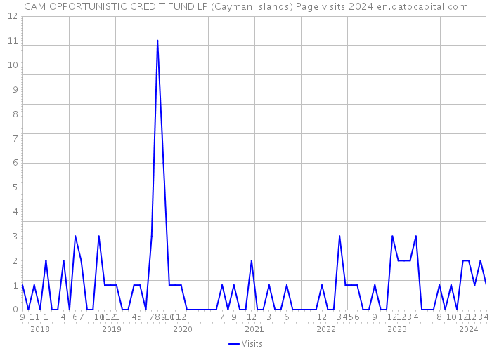 GAM OPPORTUNISTIC CREDIT FUND LP (Cayman Islands) Page visits 2024 