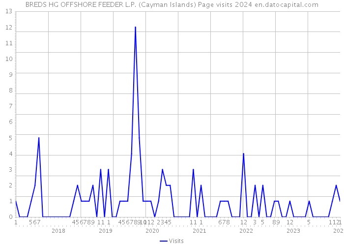 BREDS HG OFFSHORE FEEDER L.P. (Cayman Islands) Page visits 2024 