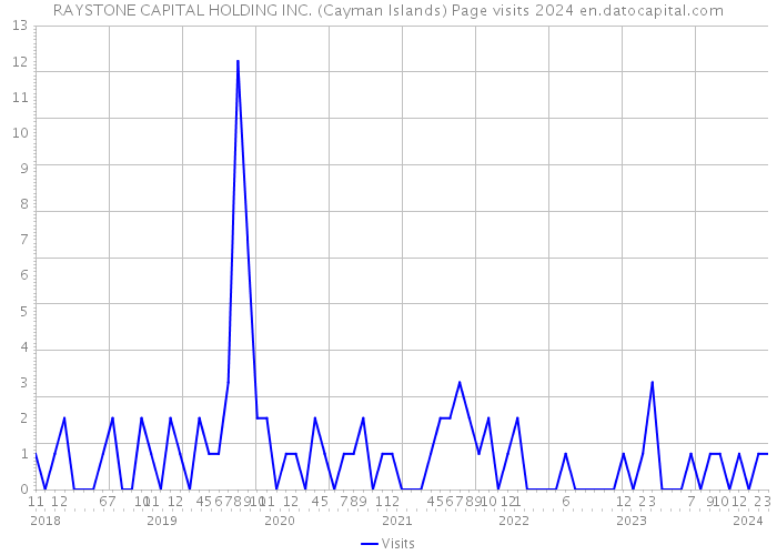 RAYSTONE CAPITAL HOLDING INC. (Cayman Islands) Page visits 2024 