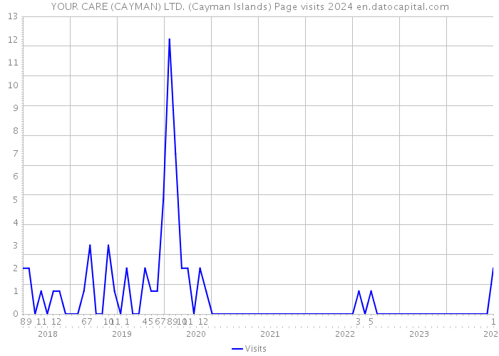 YOUR CARE (CAYMAN) LTD. (Cayman Islands) Page visits 2024 