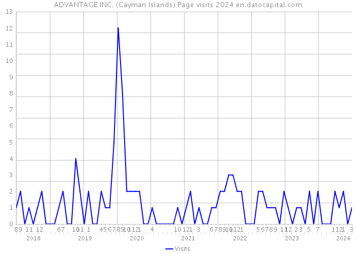 ADVANTAGE INC. (Cayman Islands) Page visits 2024 