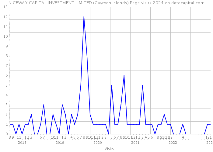 NICEWAY CAPITAL INVESTMENT LIMITED (Cayman Islands) Page visits 2024 