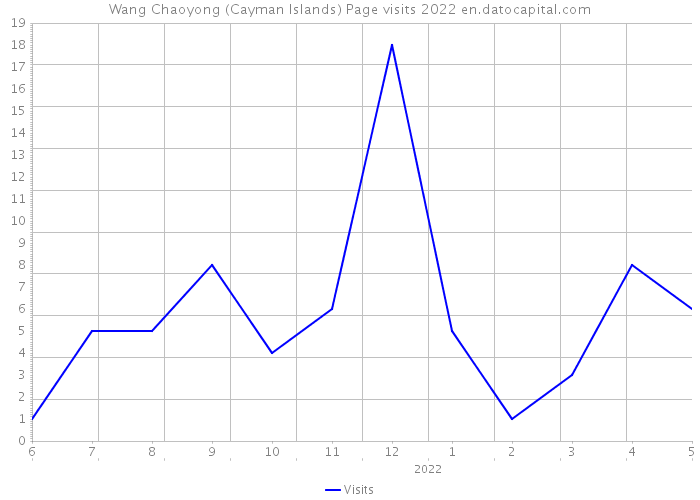 Wang Chaoyong (Cayman Islands) Page visits 2022 