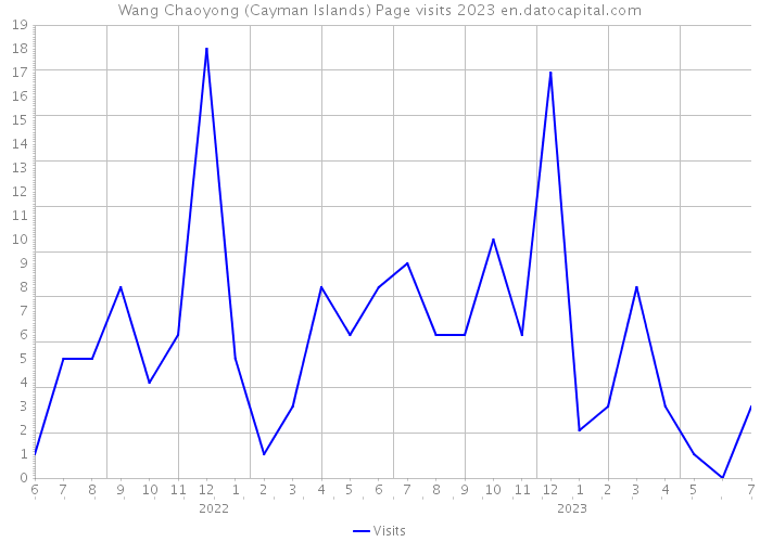 Wang Chaoyong (Cayman Islands) Page visits 2023 