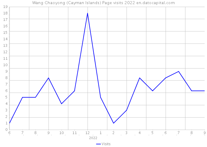 Wang Chaoyong (Cayman Islands) Page visits 2022 