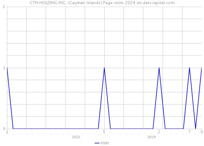 CTH HOLDING INC. (Cayman Islands) Page visits 2024 