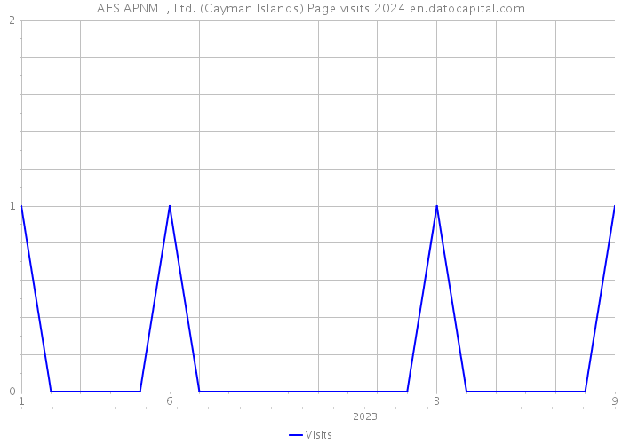 AES APNMT, Ltd. (Cayman Islands) Page visits 2024 
