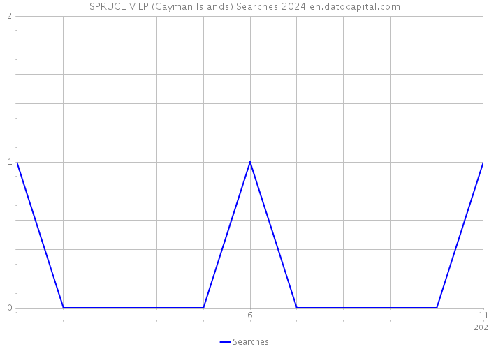 SPRUCE V LP (Cayman Islands) Searches 2024 