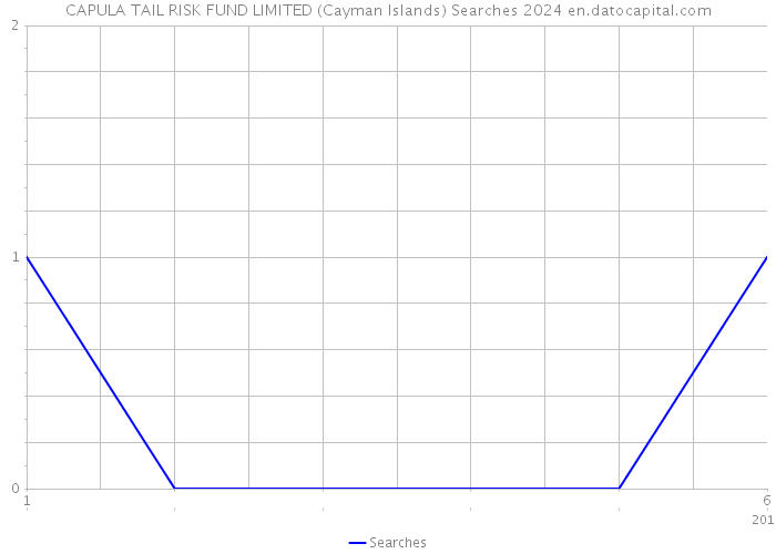 CAPULA TAIL RISK FUND LIMITED (Cayman Islands) Searches 2024 