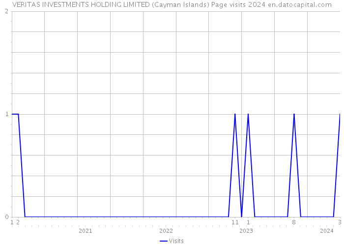 VERITAS INVESTMENTS HOLDING LIMITED (Cayman Islands) Page visits 2024 